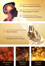 Load image into Gallery viewer, IQ3 & Pro Vitality 1 - VIRILITY, Male Performance, Fertility, Pregnancy & Nursing Support - Unisex - NMN & NAD+ Partner