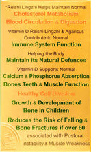 Load image into Gallery viewer, Immune 3 - Magnificent Mushrooms: Heart Brain Function + Vit D3 Beta Glucans & Adaptogens