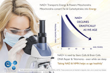 Load image into Gallery viewer, NMN 100g Supplement Powder - Pharmaceutical Grade 99.78% Purity NAD+ NMN BioTech Life Sciences