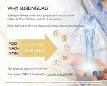 Load image into Gallery viewer, NMN 100g Supplement Powder - Pharmaceutical Grade 99.78% Purity NAD+ NMN BioTech Life Sciences