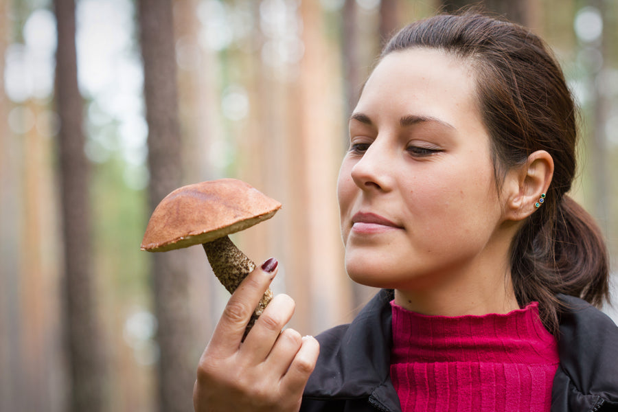 The Magic of Mushrooms: Health Benefits of 7 of The Best
