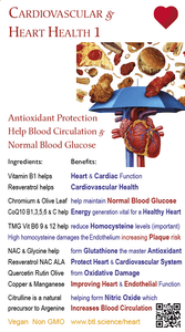 Cardiovascular Heart Function 1 -  Help Blood Circulation Normal Blood Glucose + Antioxidant Protection