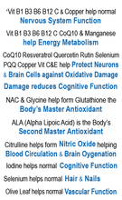 Load image into Gallery viewer, IQ3 - NeuroClean &amp; NeuroProtect® Healthy Glucose &amp; Cholesterol Metabolism, Help Protect Heart &amp; Brain against Oxidative Damage
