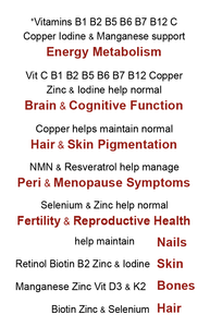 FEEL ALIVE - NMN-XR - Virility Fertility Pregnancy & Nursing Support Increase Energy - Unisex - NMN Resveratrol + Vitamins