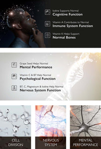 IQ2 - Brain & Heart Health - Mental Performance + Exam & Study Aid + Hair Skin & Collagen