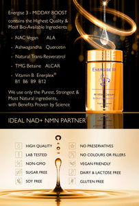 Energise 3 NMN & NAD+ Partner - Super Antioxidants, Menopause, Male Performance, Heart & Brain - Resveratrol Quercetin Rutin NAC ALA ALCAR TMG Vit E B1 B3 B6 B9 B12