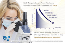 Load image into Gallery viewer, Buy NMN &amp; NAD+ Supplement Powder - Pharmaceutical Grade 99.78% Purity NAD+ NMN BioTech Life Sciences 
